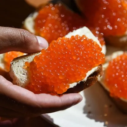 Производството на хайвер се оказа не толкова сложно колкото много