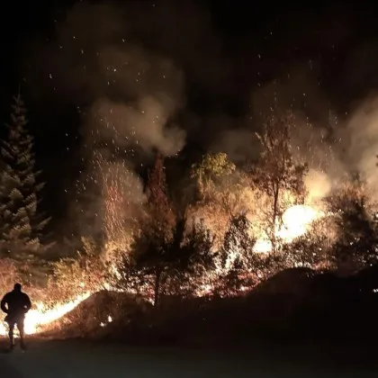 Поредна огнена драма разтърси тази вечер Родопите Малко след 22 00