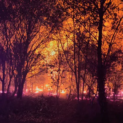 Овладян е пожарът възникнал между селата Старосел и Паничери Изгорели
