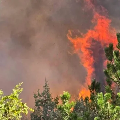 Големият пожар край асеновградското село Горнослав за който вече GlasNews информира