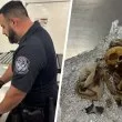 Откриха човешки останки в багажа на пътник на летище