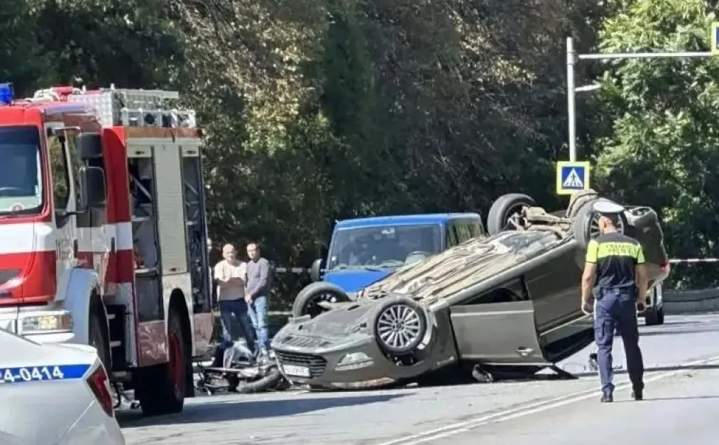  Кървав уикенд в София: специалистът Диана Русинова упреква общината в безучастие 