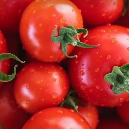 Всеизвестно е че ако се стремят към дълголетие хората трябва