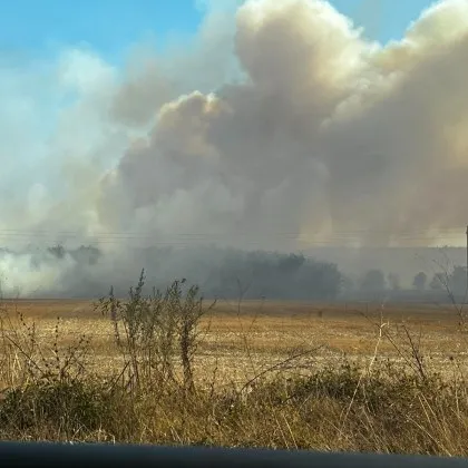 Голям пожар избухна край врачанското село Бутан Сигналът за запалени сухи