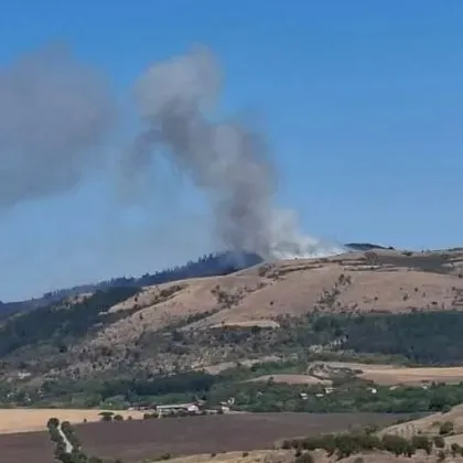 Големият пожар който първоначално избухна над село Ракита община Сливница