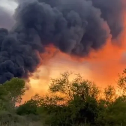 Няма опасност за здравето на населението на Плевен и близките