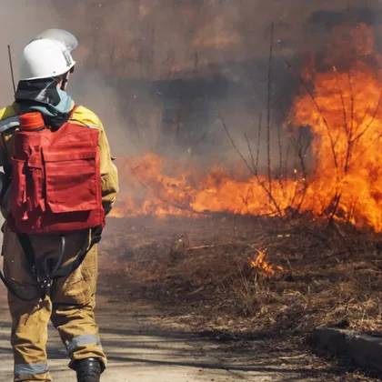 Временно е ограничено движението по път ІІ 37 с Попинци –