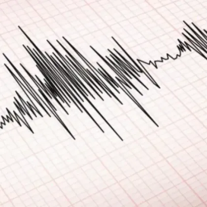 Трус с магнитуд 4 3 по Рихтер е усетено в района