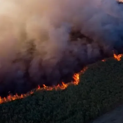 Борбата с огъня в защитената местност Калимок Бръшлен продължава и тази