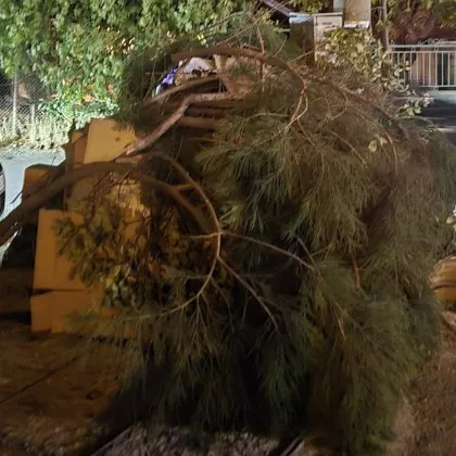 Захвърлени до контейнер за боклук кашони от обзавеждане подразниха столичанка