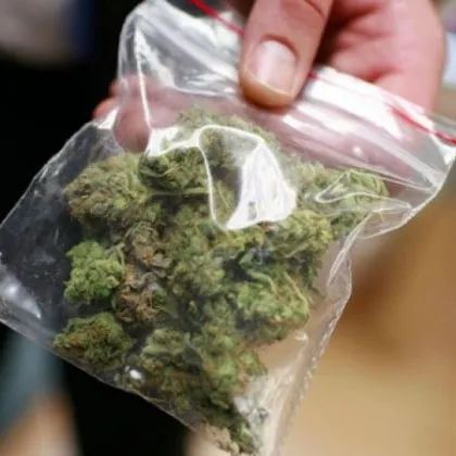 Двама са задържани за притежаване на наркотици от служители на