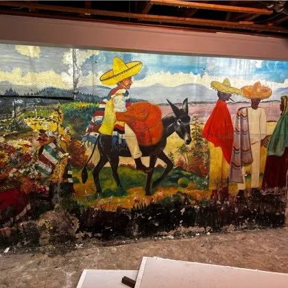 Американка от Бъфало решила да ремонтира мазето на къщата си