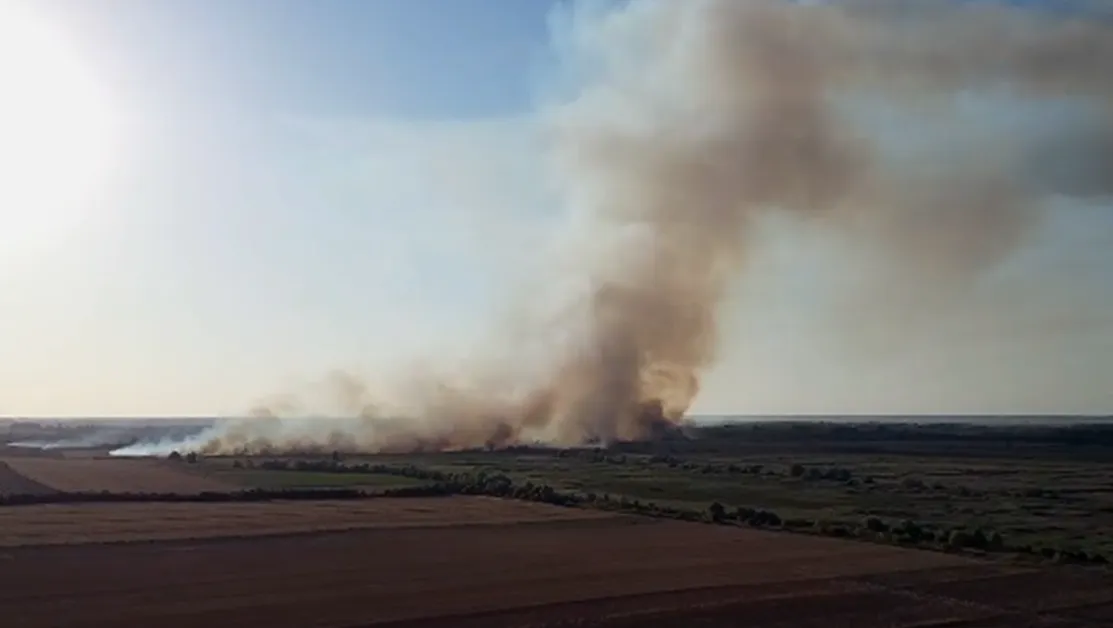 Пожарът край Тутракан е овладян