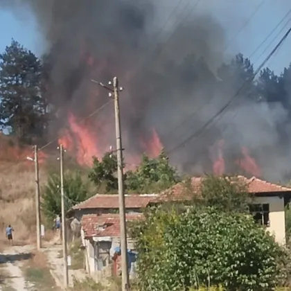 Противопожарни екипи и доброволци са локализирали пожара застрашаващ Сухиндол Сигналът
