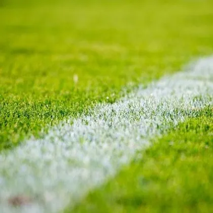 Заместник изпълнителният директор на Българския футболен съюз Добрин Гьонов обяви