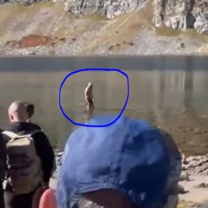Турист беше видян да плува в Бъбрека едно от