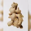 Успокоява ли джинджифилът разстроен стомах?