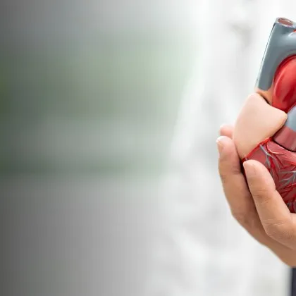 Университетът във Вашингтон докладва за най често срещаните заболявания които причиняват