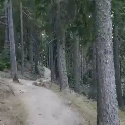 Развръзка около убийството което потресе Смолянско Часове след като беше