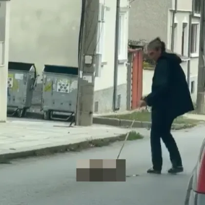В социалните мрежи бе споделено възмутително видео с куче в
