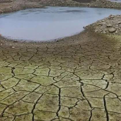 България ще подаде искане към Европейската комисия за активиране на