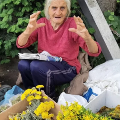 Преди около две години ви разказахме за баба Стефка от