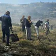 Пожар избухна над асеновградското село Добростан СНИМКИ