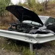 Зверски сблъсък в Софийско! Кола се вряза в мантинела, има жертва СНИМКИ