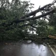 Бедствено положение и в община Трън