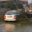 Голямо дърво се стовари върху кола с бебе в Пазарджик СНИМКИ