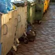 Кризисна ситуация в София: Два квартала остават без фирма, която да събира и извозва боклука