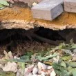 Варна отваря уста: опасна кухина зейна пред блок СНИМКИ