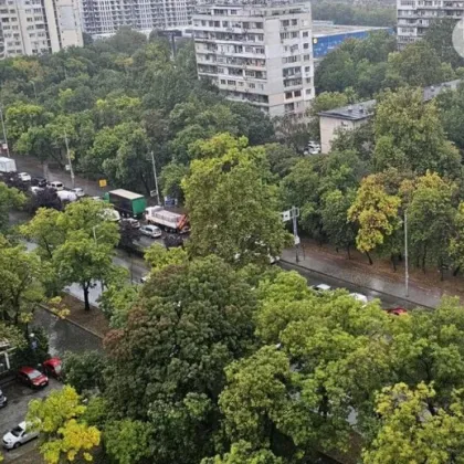 Дърво падна в двора на Военна болница в Пловдив
