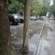 Опасен стълб в Русе: Куче пострада от токов удар
