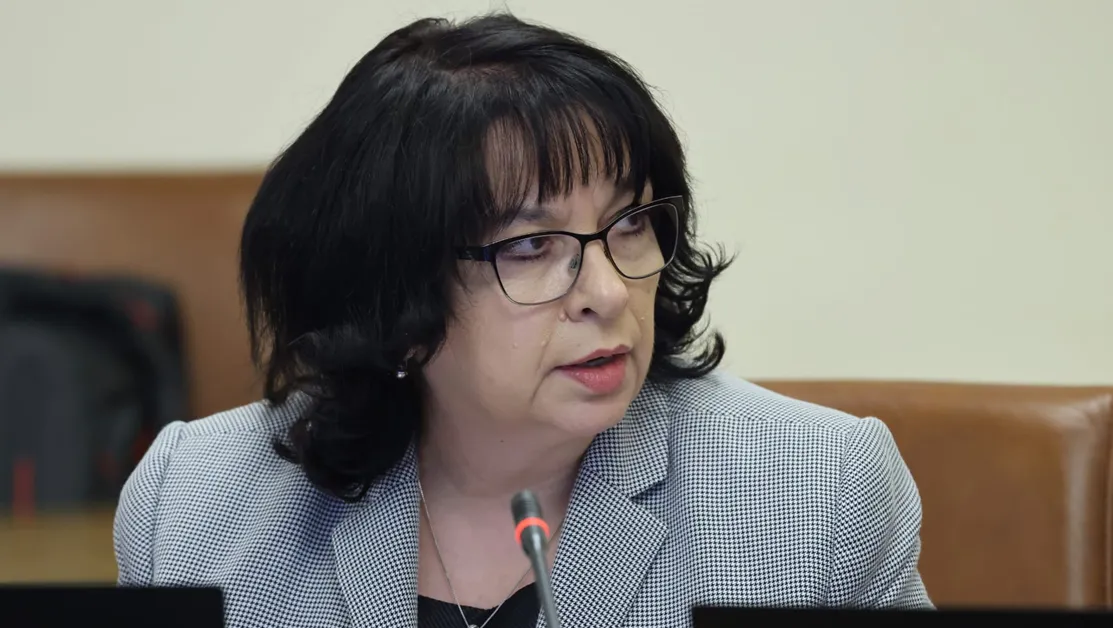 Теменужка Петкова: Нито доходите намаляват, нито българите обедняват