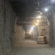 40 000 години по-късно: Учени „събудиха" живот от вечния лед на Аляска