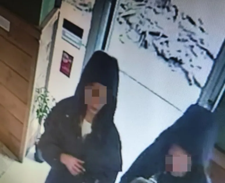 Две крадли причакаха възрастна жена в пицария в Стара Загора и ѝ взеха портмонето ВИДЕО