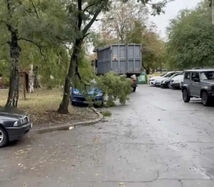 Камион за боклук събори клон, който падна върху автомобил ВИДЕО