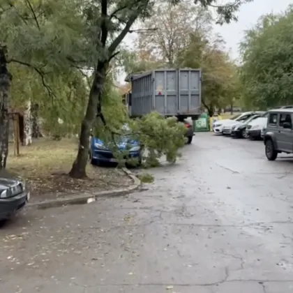 Камион за боклук събори клон, който падна върху автомобил ВИДЕО