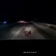 Трупове на животно се появиха на оживен път за София, коли аварираха ВИДЕА