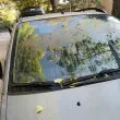 Пловдивчанка системно открива колата си вандализирана СНИМКИ