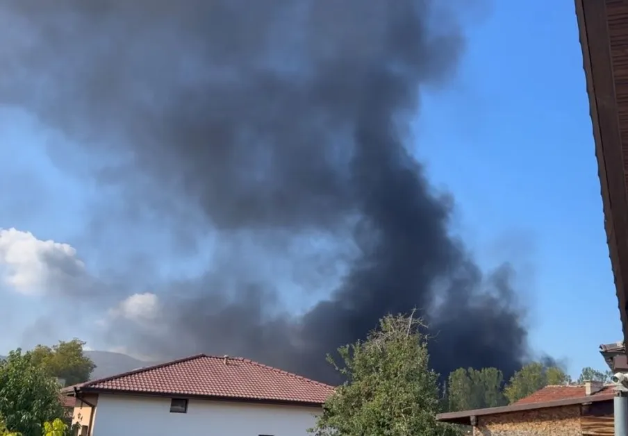 Пожар избухна край Перник ВИДЕО