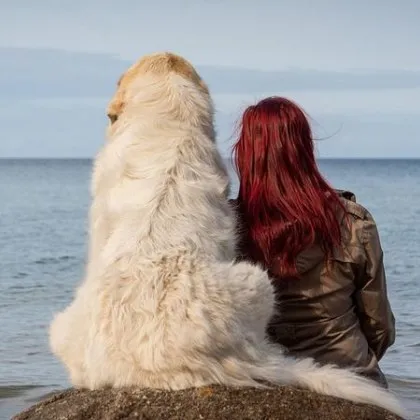 Граждани в социалните мрежи се обедини около трогателен апел за