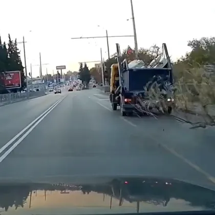 Голям клон хвръкна към движещ се автомобил от камион за отпадъци