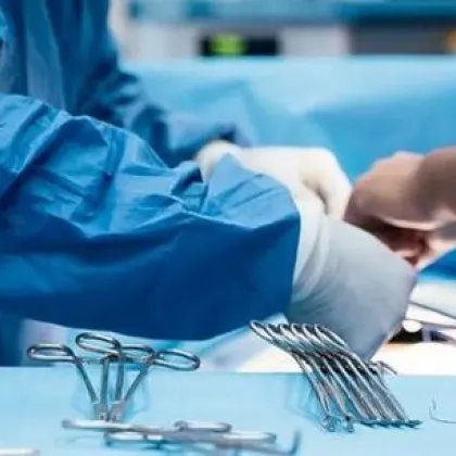 Засадиха 14 червени рози в градината на донорите зад НДК