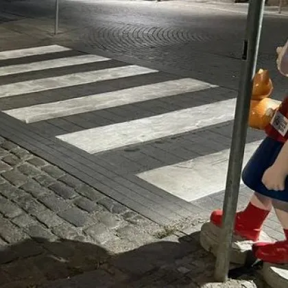 Столичен инспекторат публикува позиция за ситуацията с поставените фигури край пешеходни пътеки