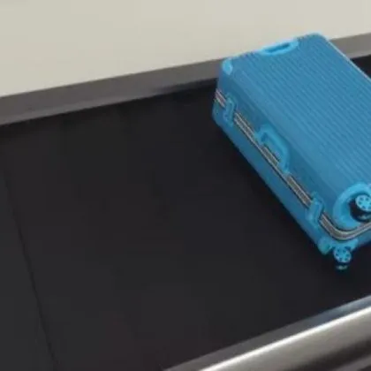 Летище Кишинев е въвело извънредни мерки за сигурност В багажа