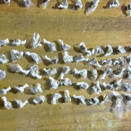 При спецакция тази седмица полицаи от Шесто РУ в Пловдив