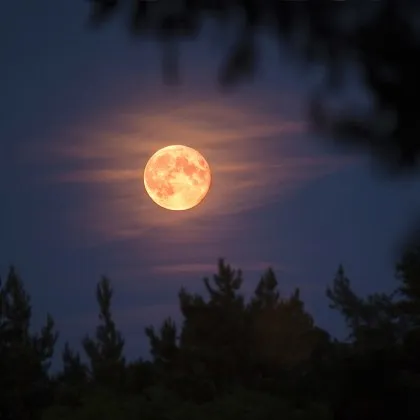 Лягали сте си в обичайното си време пропуснали сте следобедното