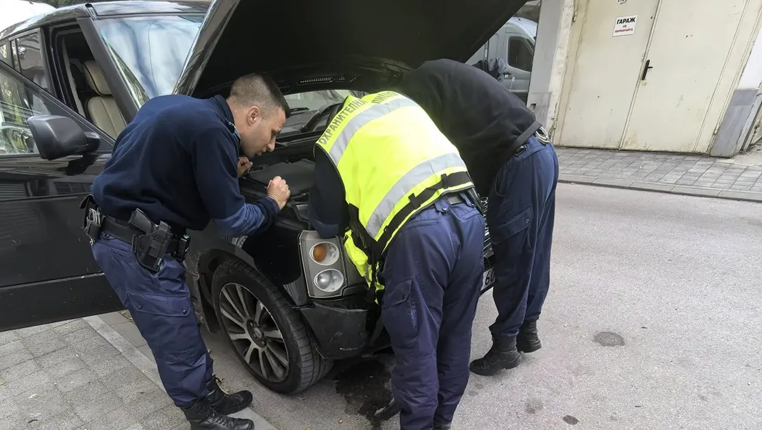 Полицаи спасиха коте, заклещено в двигател на автомобил в Пловдив СНИМКА+ВИДЕО